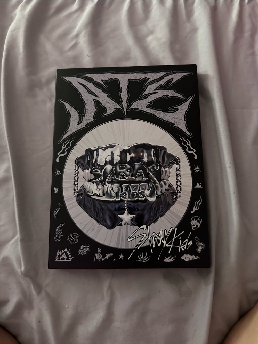 Stray kids ate albums (3 full albums)
